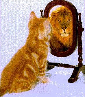 Espelho, espelho meu - O contato com a autoimagem nos tempos modernos