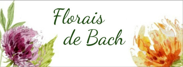 Da série Terapias Holísticas: Florais de Bach – parte 1