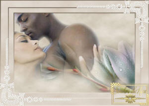 AMOR  É  INCOLOR