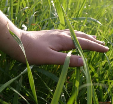 Como posso criar a vida que quero?