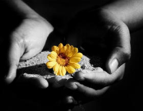 A arte de ser feliz
