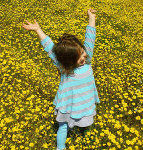 Florais, Novo e Bom Caminho