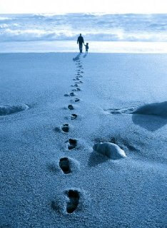 7 caminhos, 7 espinhos, caminhando no bom caminho...