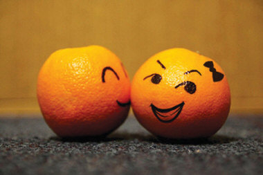Encontrando o Parceiro Ideal: Metade da laranja ou laranja inteira?