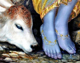 Na luz de Krishna - o amor em ação...
