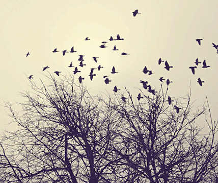 Relembre...