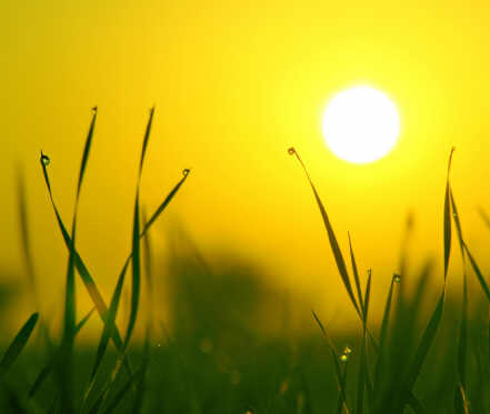 Ano Novo Solar, Páscoa, Pessach, o que têm em comum?