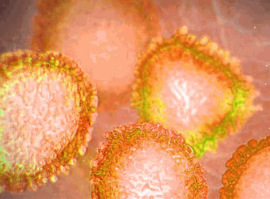 A verdadeira história do Coronavírus que será contada anos depois