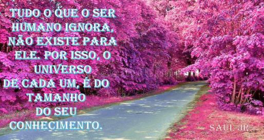 Intuição ou Sonhar