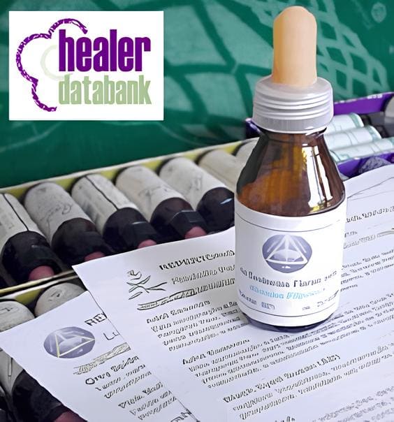 Healer Databank: O começo de tudo