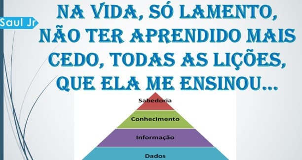Adestrar gera obediência e incompetência