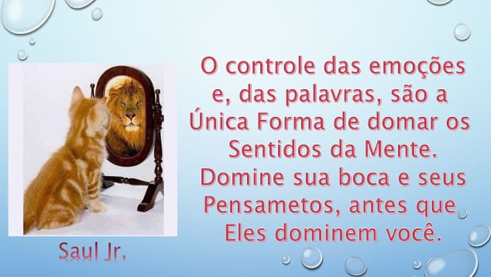 A Base de uma Vida Humana