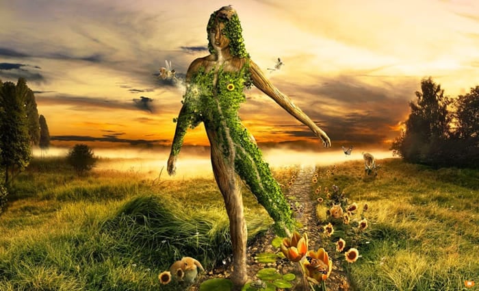 As leis da natureza ou as leis da nossa mente?