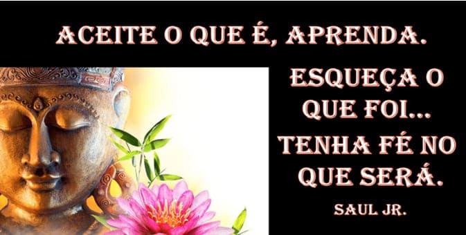 Remédios não curam as doenças da Mente
