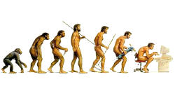 Ciclo de la Evolución IV
