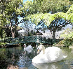 Gracia y presencia en los jardines etéreos