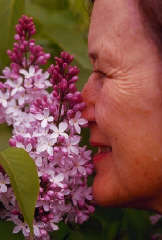 SAUDE / DOENÇA E AS ESSÊNCIAS FLORAIS