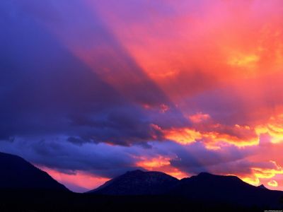 LA LUZ DE LA CONCIENCIA