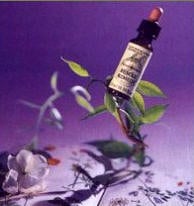 Florais de Bach, um recurso na psicoterapia