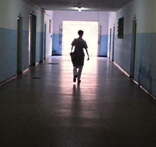 Entre a Luz e a Sombra 