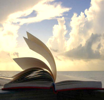 Resultado de imagem para PAGINAS EM BRANCO