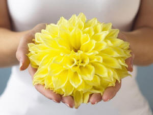 Si prestásemos más atención a las flores