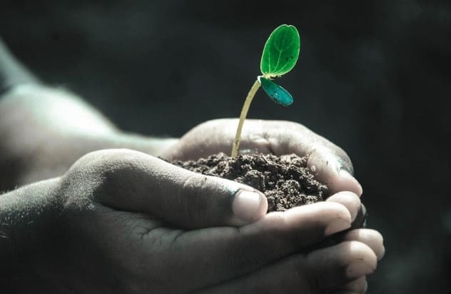 O Ato Mais Difícil da Fé: Confiar nas Sementes que Você Plantou