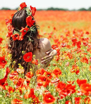 Ainda há flores pela estrada...