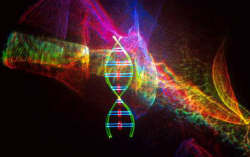 DO DNA AO GNA, POR TRIGUERINHO - 2
