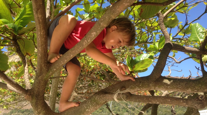 O menino sente a dor da Terra